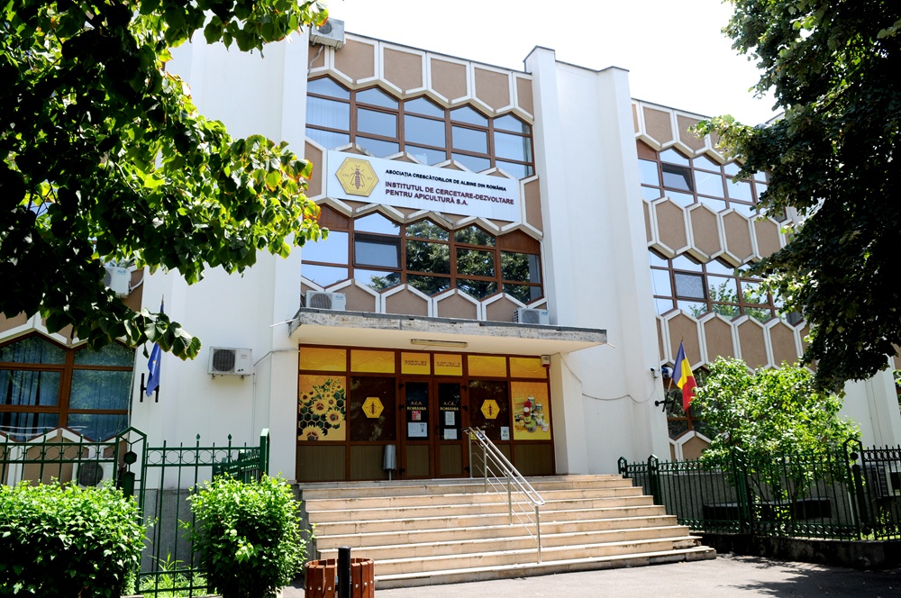 Magazin ICDA